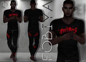 Изображение образа